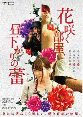 纪实片库内容封面